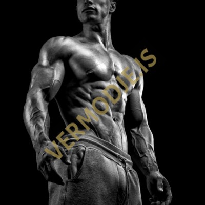 Methandienone Bulking/Power Ciclo - Principiantes
