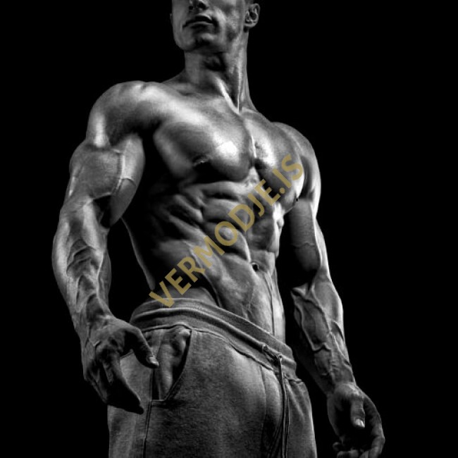 Methandienone Bulking/Power Ciclo - Principiantes