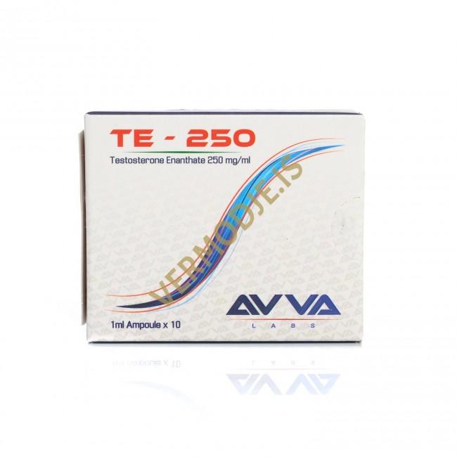 TE-250 AVVA Labs (Testosterone Enanthate)