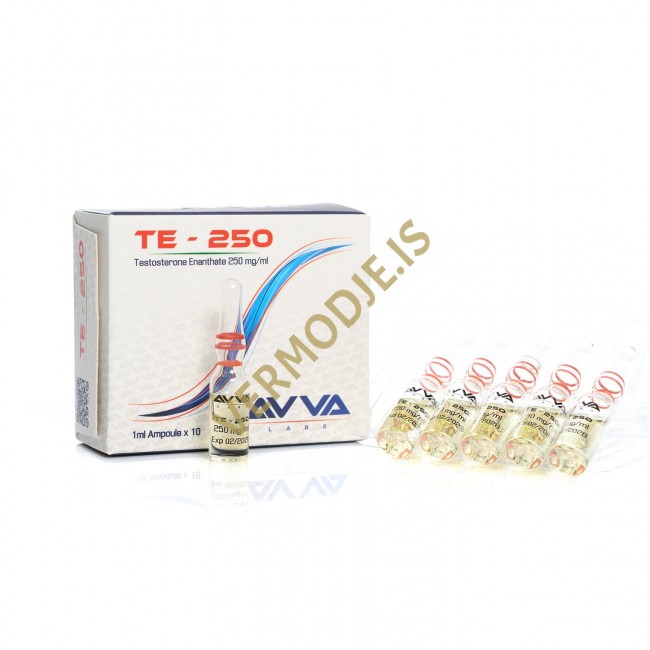 TE-250 AVVA Labs (Testosterone Enanthate)