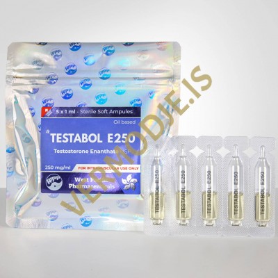 Testabol E250 WPP (Testosterone Enanthate) - 5amps (250mg/ml)