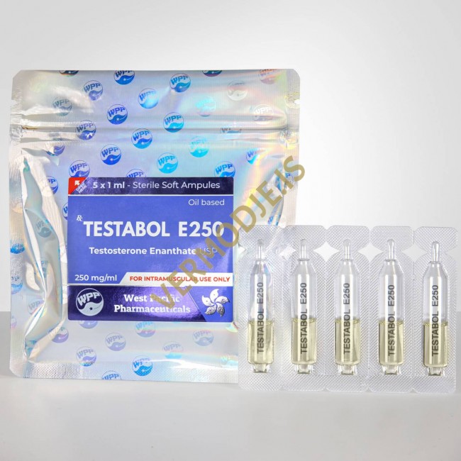 Testabol E250 WPP (Testosterone Enanthate)