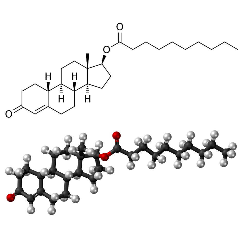 Deca Durabolin diagram